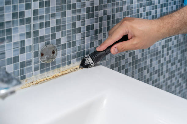 Best Attic Mold Removal  in Akron, OH