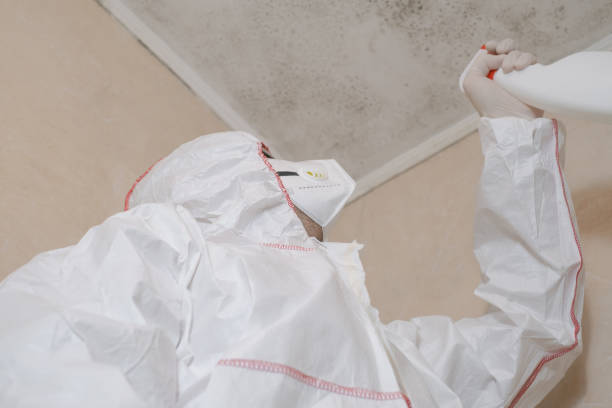 Best Mold Inspection  in Akron, OH
